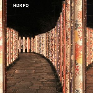 Canon EOS R10 - Photography