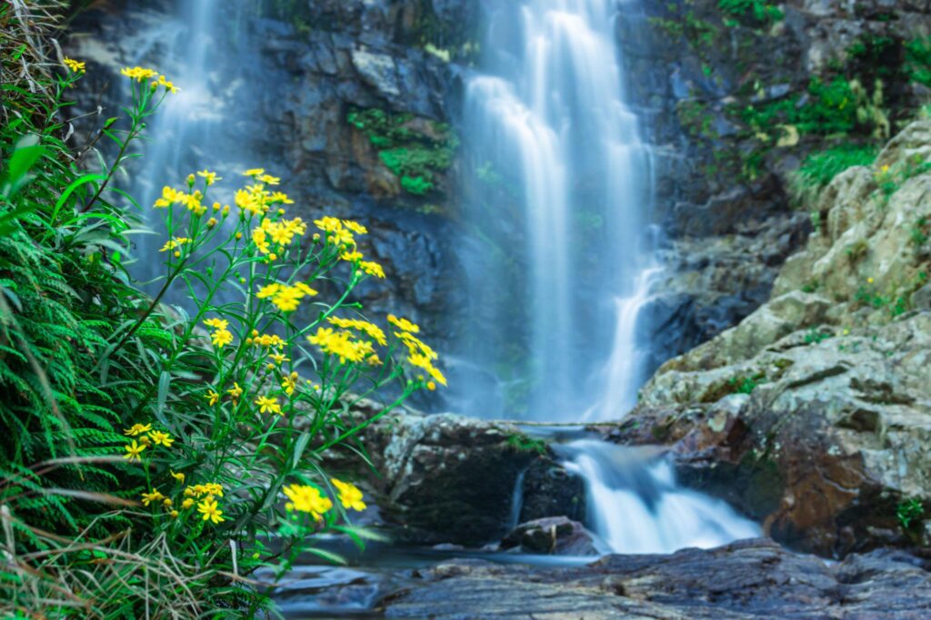 - Photography Tutorials