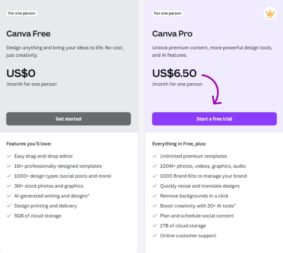 Canva AI Photo Editor Review