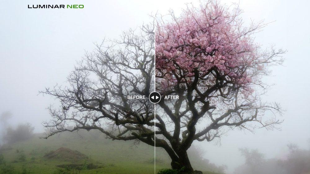 Luminar Neo Review
