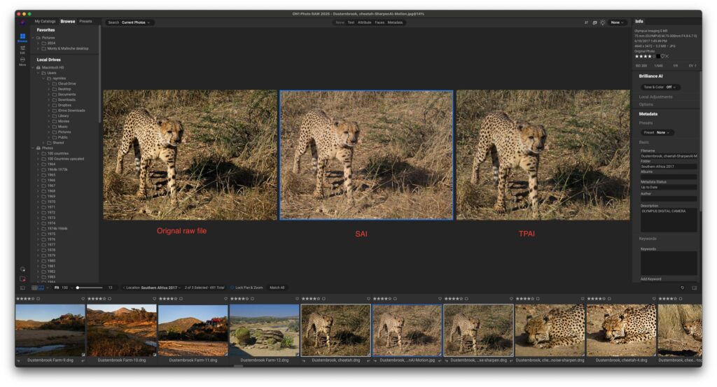 Topaz Photo AI Review