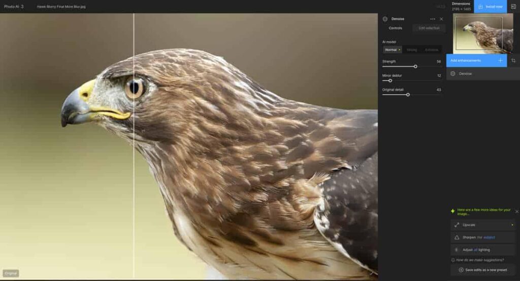 Topaz Photo AI Review