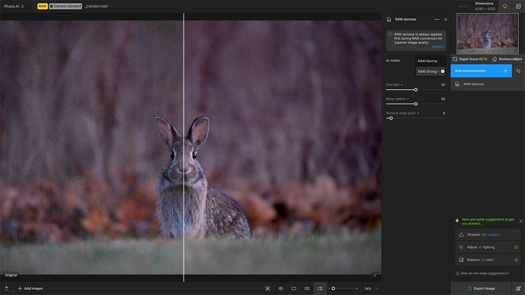 Topaz Photo AI Review