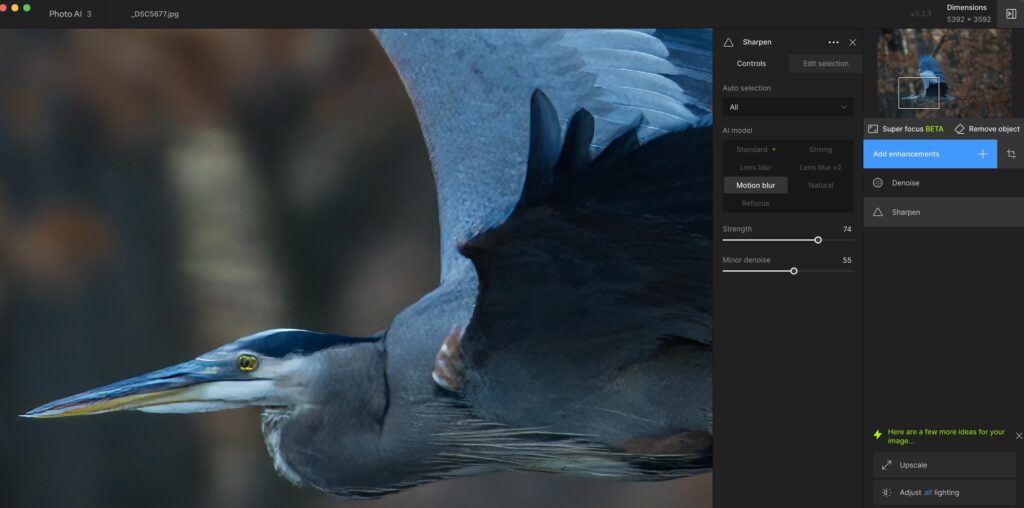 Topaz Photo AI Review