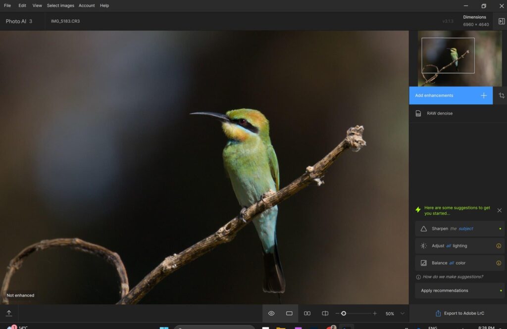 Topaz Photo AI Review