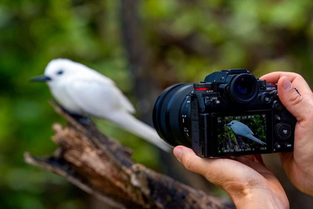AI Autofocus Explained