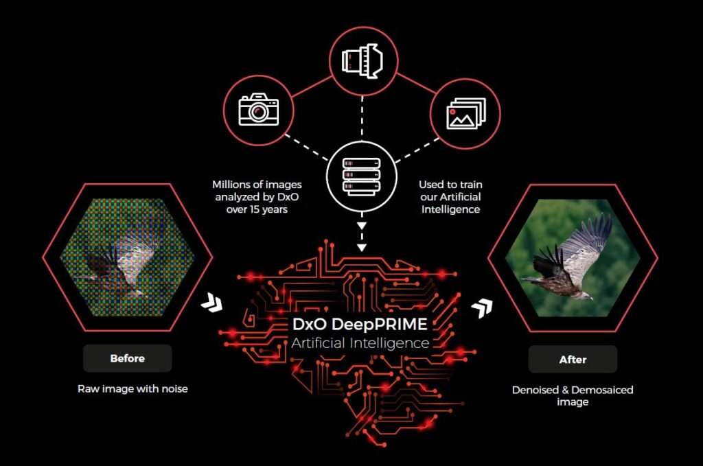 AI Noise Reduction Software for Photographers
