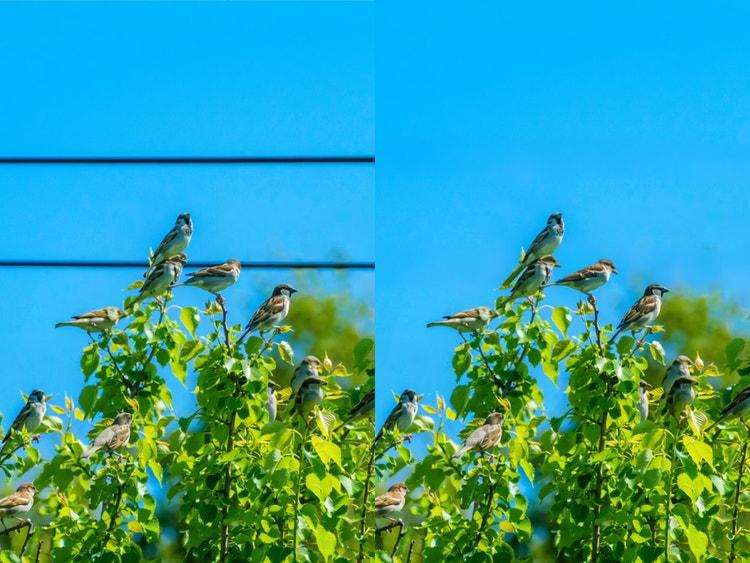 Adobe Firefly for Photographers