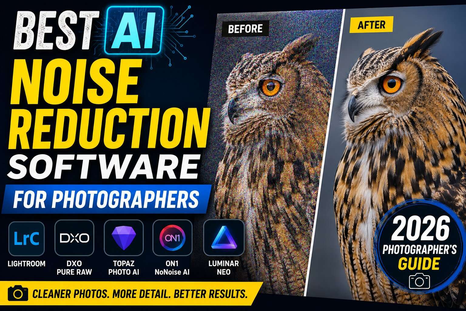 Best AI Noise Reduction Software for Photographers