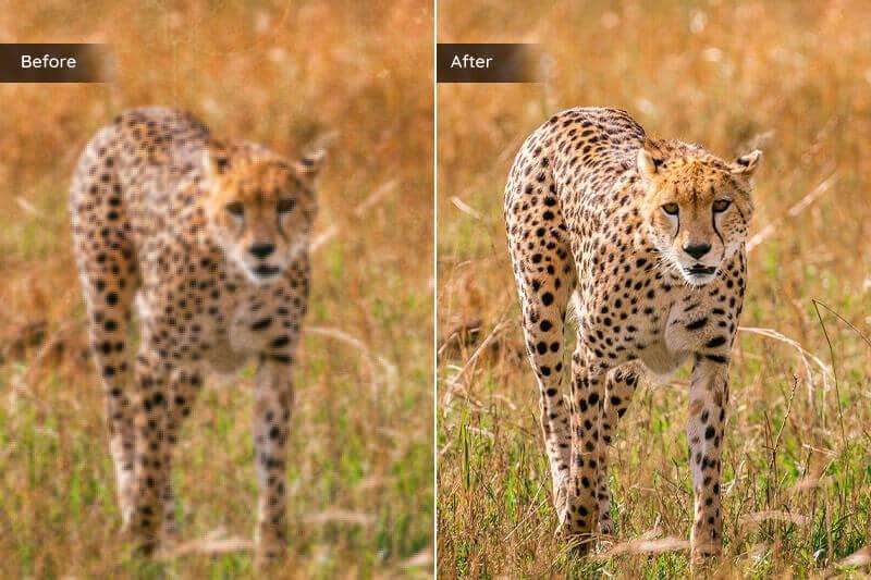 Best AI RAW Photo Editing Software