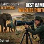 Best Cameras for Wildlife Photography